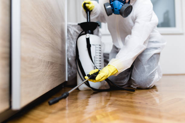 Wasp Removal Services in Gardiner, ME
