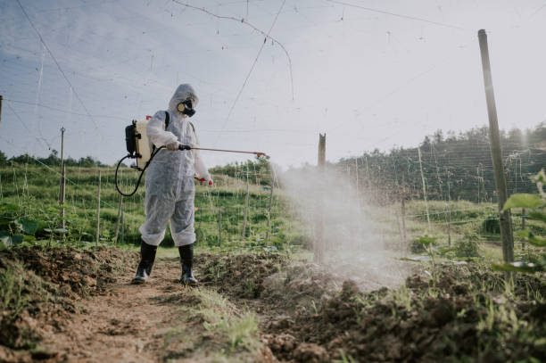 Best Commercial Pest Control Services  in Gardiner, ME