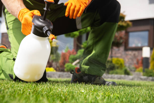 Trusted Gardiner, ME Pest Control Experts