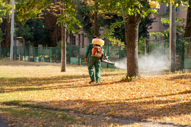Best Best Pest Control Near Me  in Gardiner, ME