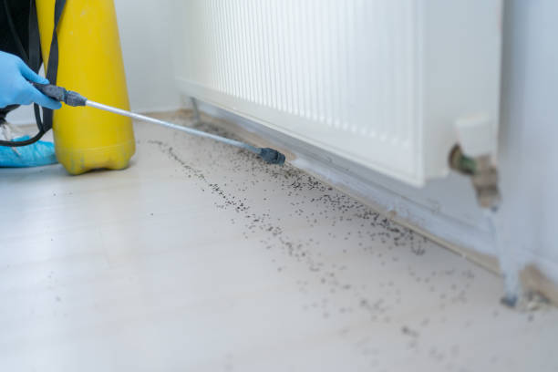 Best Pest Inspection Near Me  in Gardiner, ME